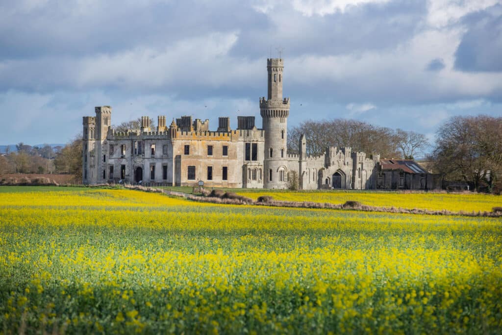 duckets grove